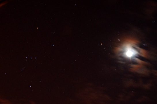 The moon and Orion - and Jupiter. See the posting for the details...