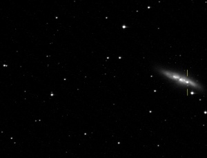 SN2014J in M82 20140126
